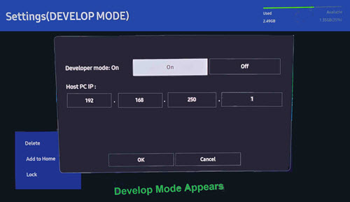 Samsung TV Developer Mode On