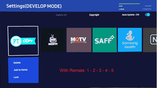 Samsung TV Developer PIN