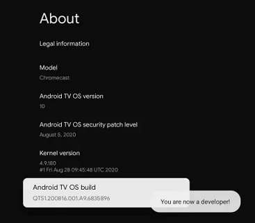 Google TV Developer Mode